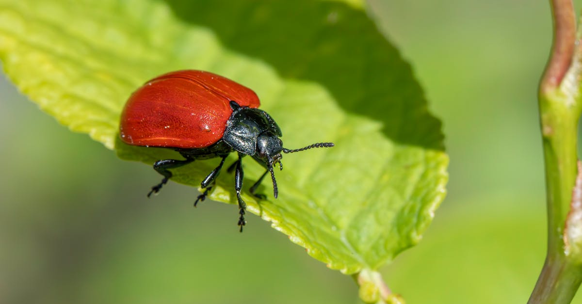 How Environmentally Safe Pesticides Benefit Local Ecosystems