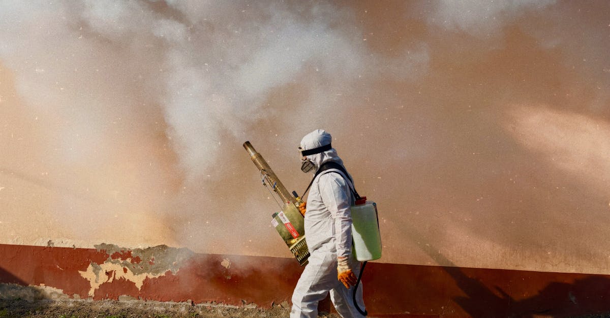 How to Safely Eliminate Spiders from Your Living Space