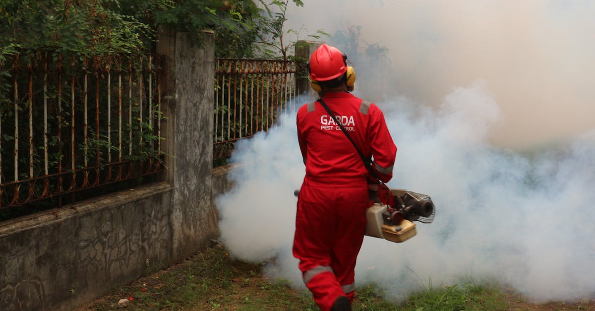 Innovative Solutions for Office Pest Control Challenges