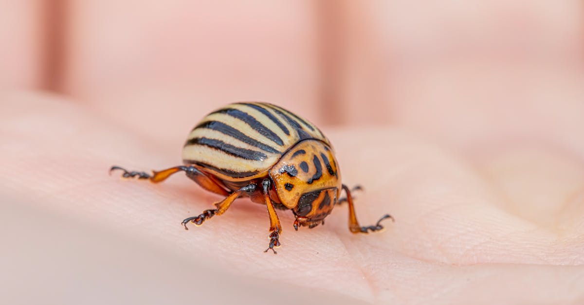 The Role of Eco-Friendly Products in Protecting Biodiversity